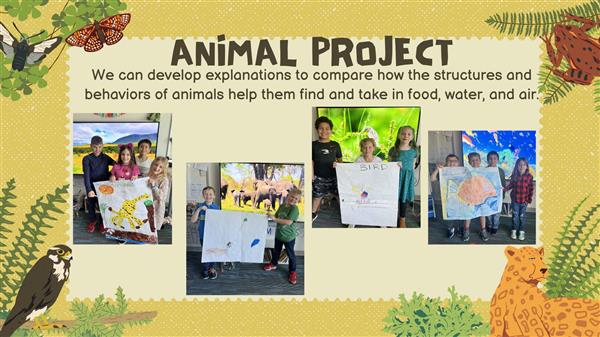  2nd Grade Animal Project